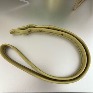 Coach 🍋‍🟩LIME🍋‍🟩Strap